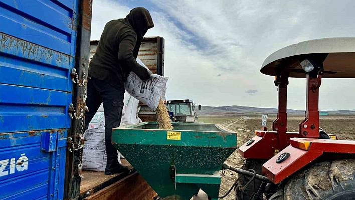 Ağrı'da tarlalar kontrol ediliyor