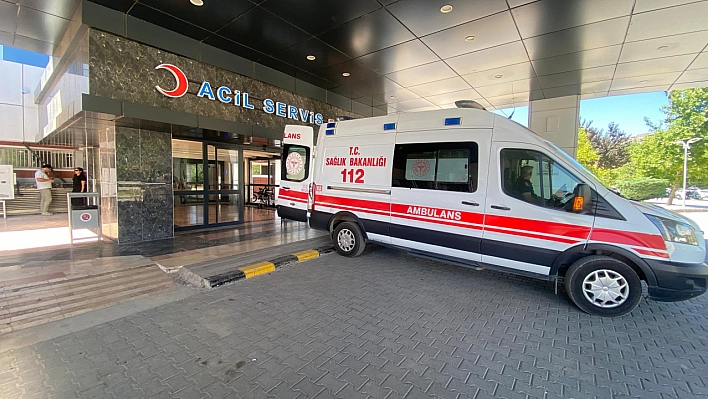 Ahırda süt sağan kadını kene ısırdı
