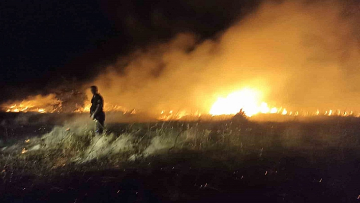 Malatya'da bahçe ve sazlık yangını: 25 Kayısı ağacı zarar gördü