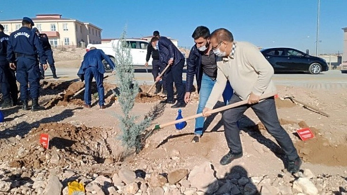 Akçadağ'da bin fidan dikildi