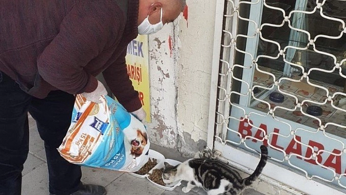 Akçadağ'da sokak hayvanları unutulmadı