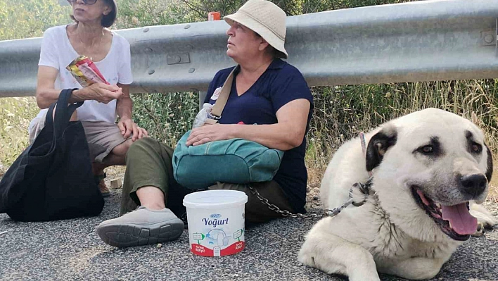 Yangını gözyaşları içerisinde izledi!