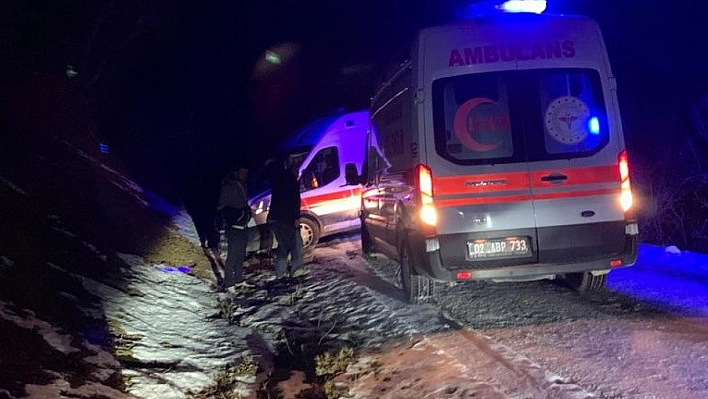 Ambulans  yoldan çıktı