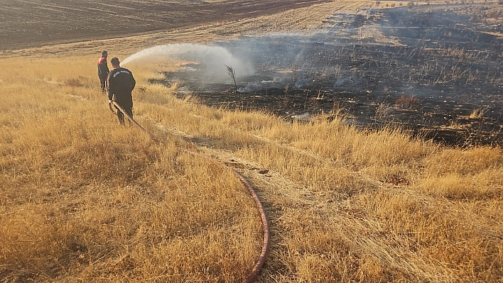 Anız Yangını Ormanlık Alana Sıçradı