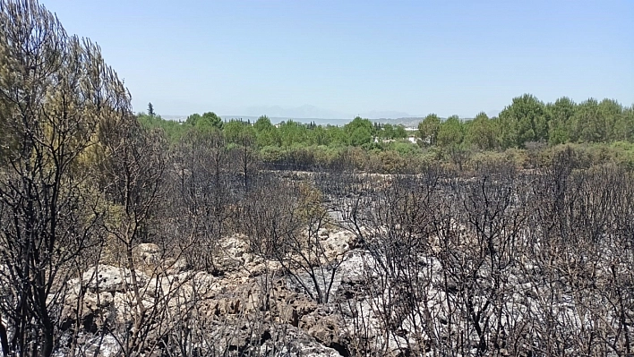 Antalya'da 2 hektar alan zarar gördü