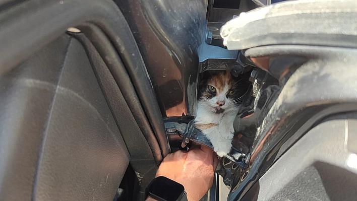 Aracın kapısına sıkışan kediyi itfaiye kurtardı