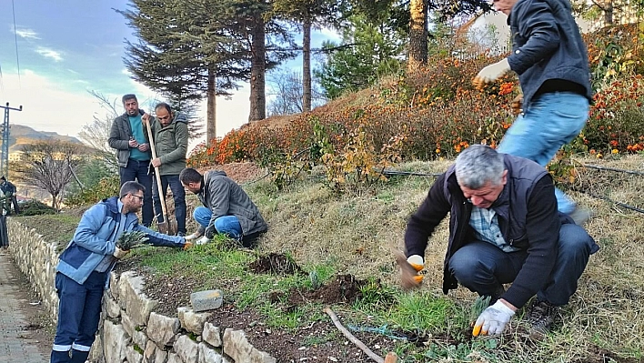 Arapgir Belediyesi çalışıyor