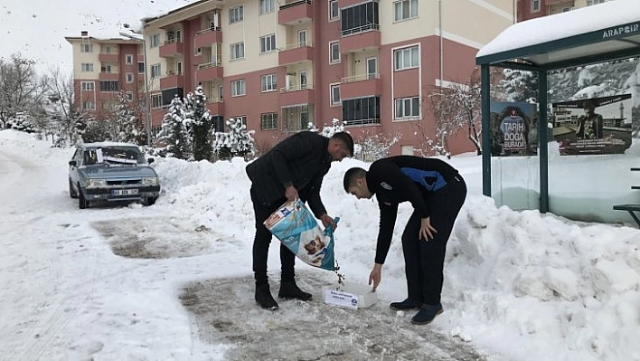 Sokak hayvanları unutulmadı