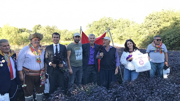 Festival dolu dolu geçti