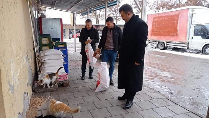 Sokak hayvanları unutulmadı