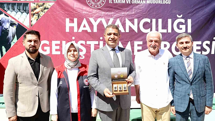 469 Arıcıya 2 bin Ana Arı Dağıtıldı