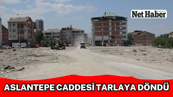 Aslantepe Caddesi tarlaya döndü