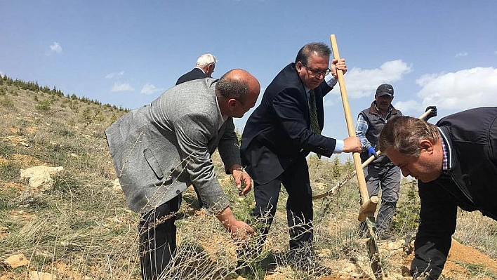 Akçadağ'da ağaç dikme şenliği 