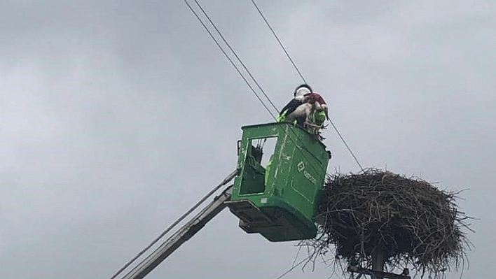 Ayağına ip dolanan leylek kurtarıldı