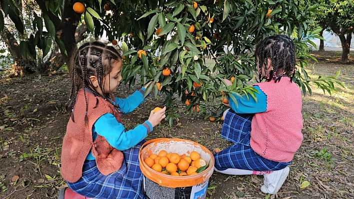 Aydın'dan Elazığ ve Şemdinli'deki engellilere vefa köprüsü