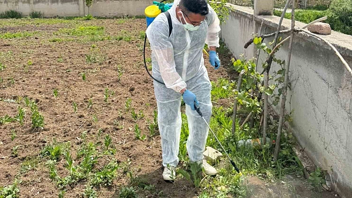 Aydıntepe'de yabancı ot mücadelesi başlatıldı