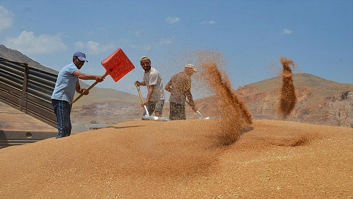 Bahar yağmurları rekolteyi artırdı