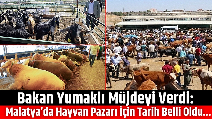 Bakan Yumaklı Müjdeyi Verdi: Malatya'da Hayvan Pazarı İçin Tarih Belli Oldu…