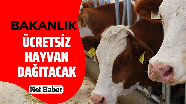 Bakanlık ücretsiz hayvan dağıtacak