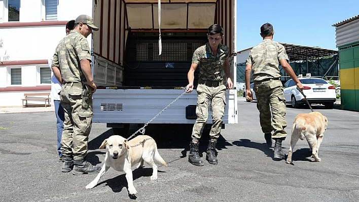 Bakımları yapıldı