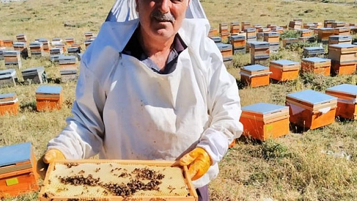 Balda hayal kırıklığı