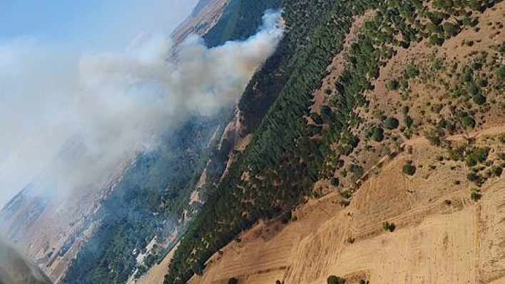 Balıkesir'de orman yangını