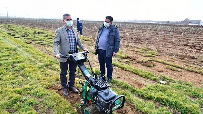 Çınar, çalışmaları inceledi