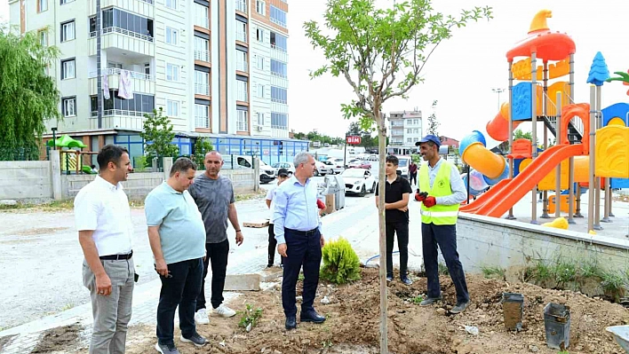 Park sayısını 235'e çıkaracağız