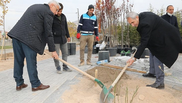 İlk gül Güder'den