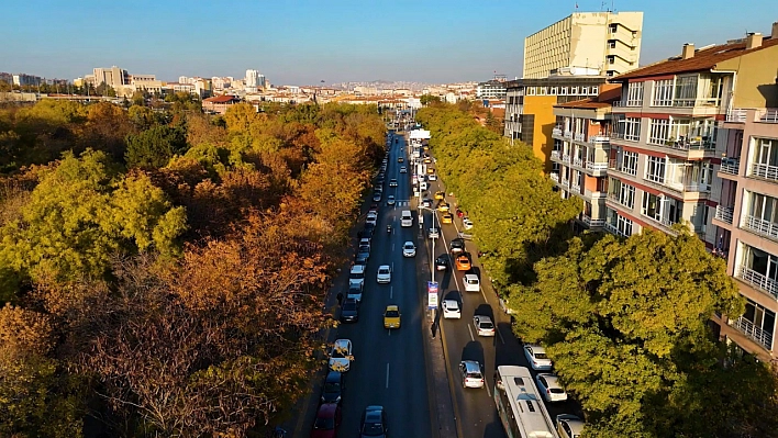 Başkent parklarında sonbahar şöleni