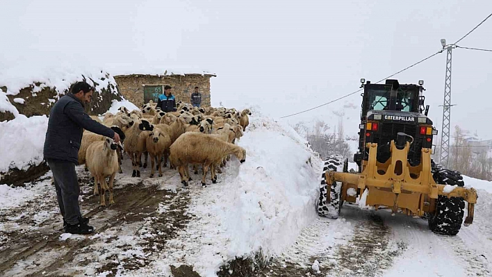 Hayvanlarını Sulama Alanlara Götüremeyen Vatandaşların Yolu Açıldı!