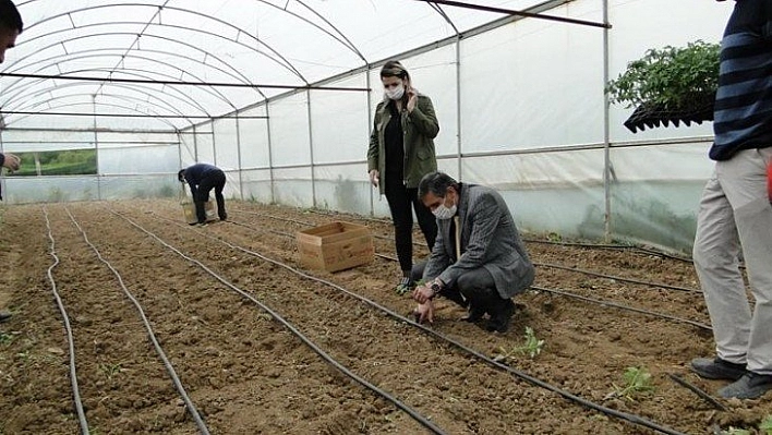 Battalgazi'de fide dikimi yaygınlaştırılıyor