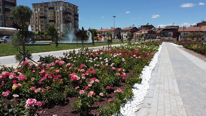 Malatya'ya gül bahçesi