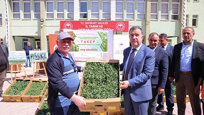 Bayburt'ta üreticilere fide dağıtıldı