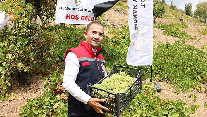 'Behdini Üzümü Hasat Şenliği' Düzenlendi