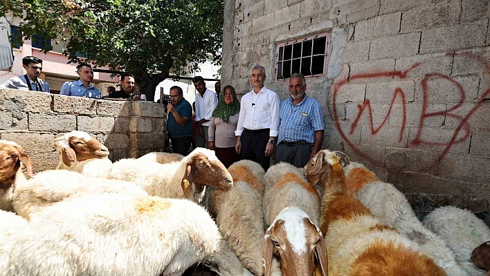 Belediyeden 16 tane aldı, 130'a çıkardı