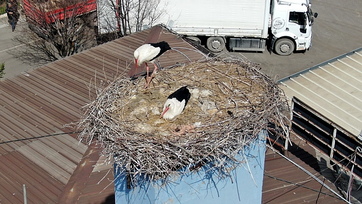 Bereketin, bolluğun müjdesi