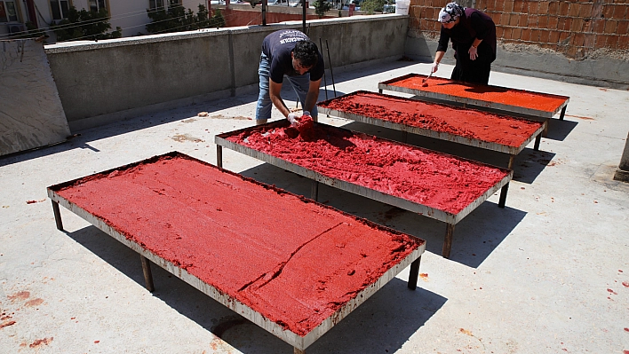 Biber salçası mesaisi başladı