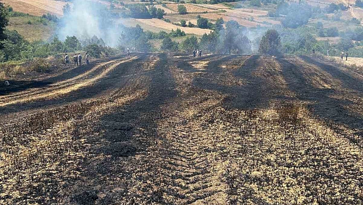 Biçerdöver yangına neden oldu