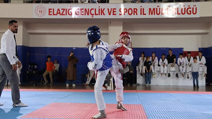 Bilek Güreşi ve Taekwondo müsabakaları tamamlandı