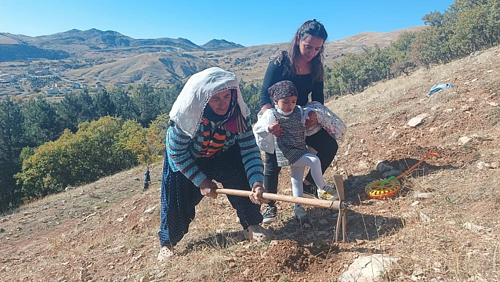 Bin meşe palamudu toprakla buluştu