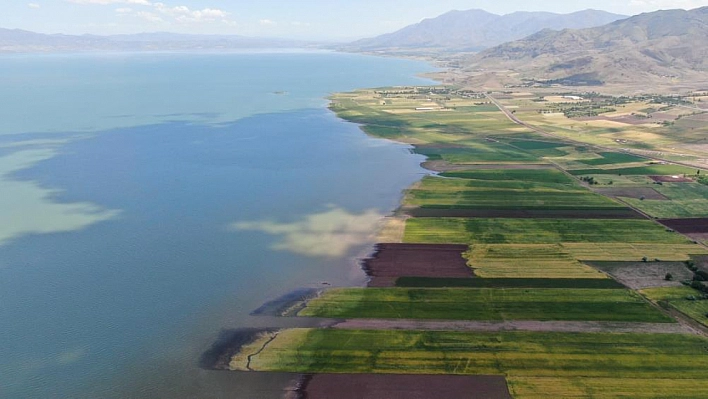 Binlerce dönüm ekili alan su altında kaldı