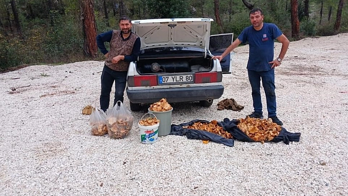 Bir günde 100 kilo topladılar