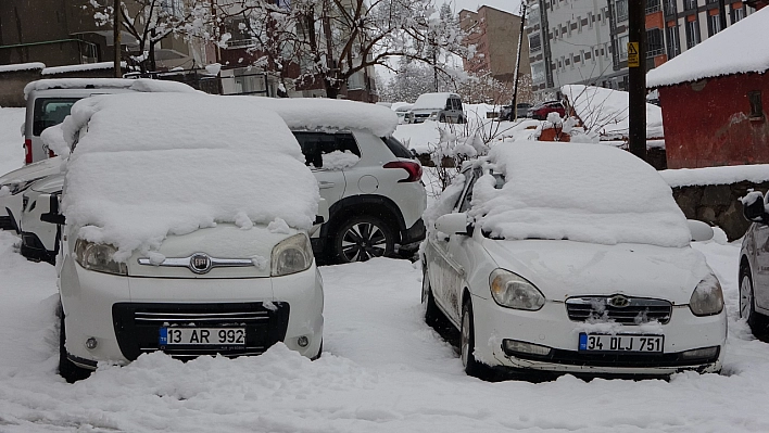 Bitlis'te yollar kapandı: 80 köy yoluna ulaşılamıyor