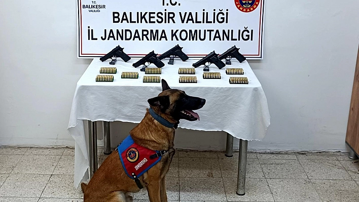 Bomba köpeği buldu