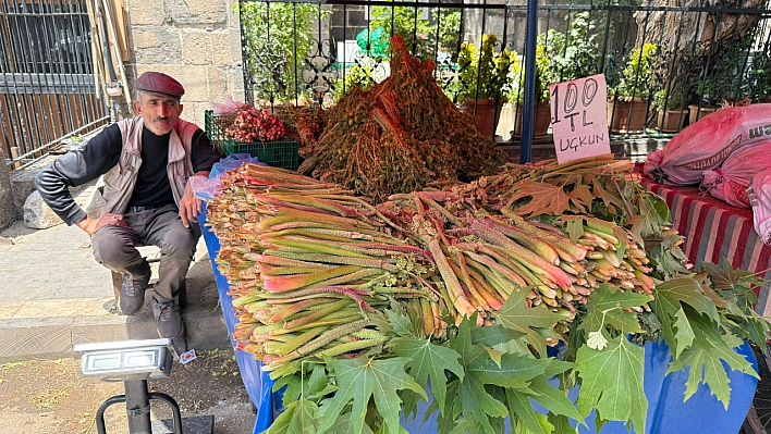 Bu bitki doğal şifa kaynağı