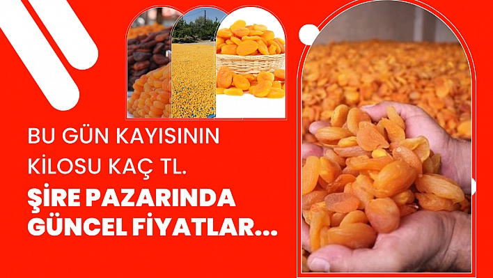 Bu gün kayısının kilosu kaç TL. Şire Pazarında güncel fiyatlar...