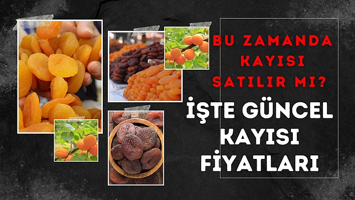 Bu zamanda kayısı satılır mı? İşte güncel kayısı fiyatları