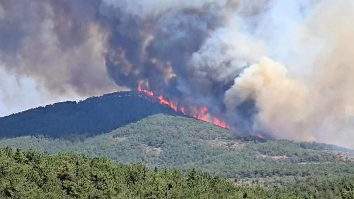 Bursa'da yangın yeniden büyüdü