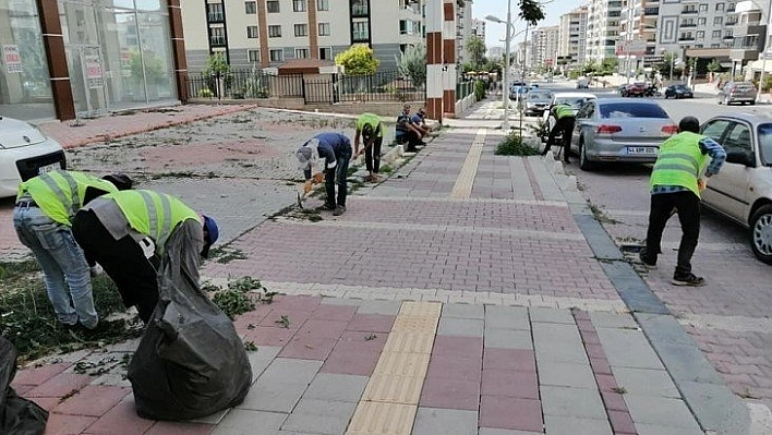 Yabani ot temizliği